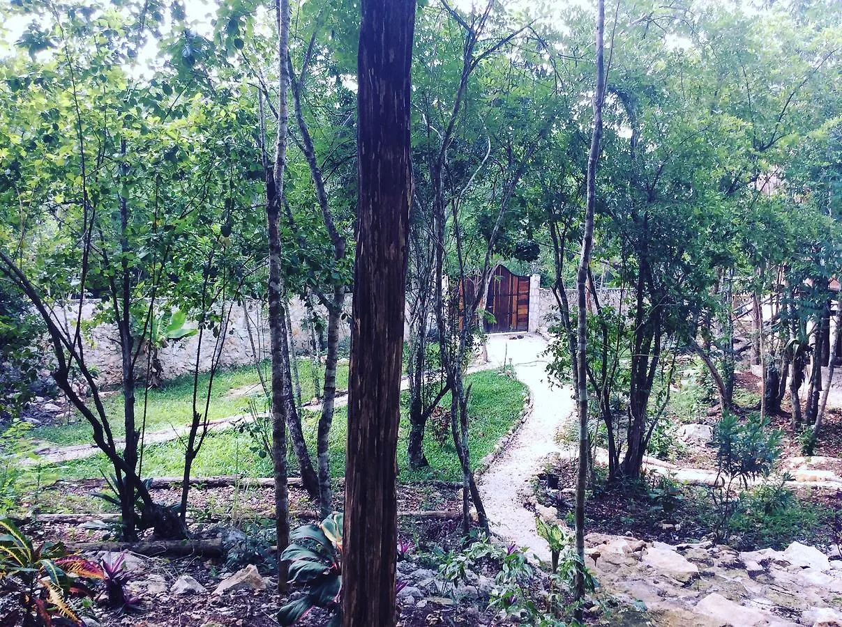 **  Escarabajo Rojo Bed & Breakfast Tulum Mexico