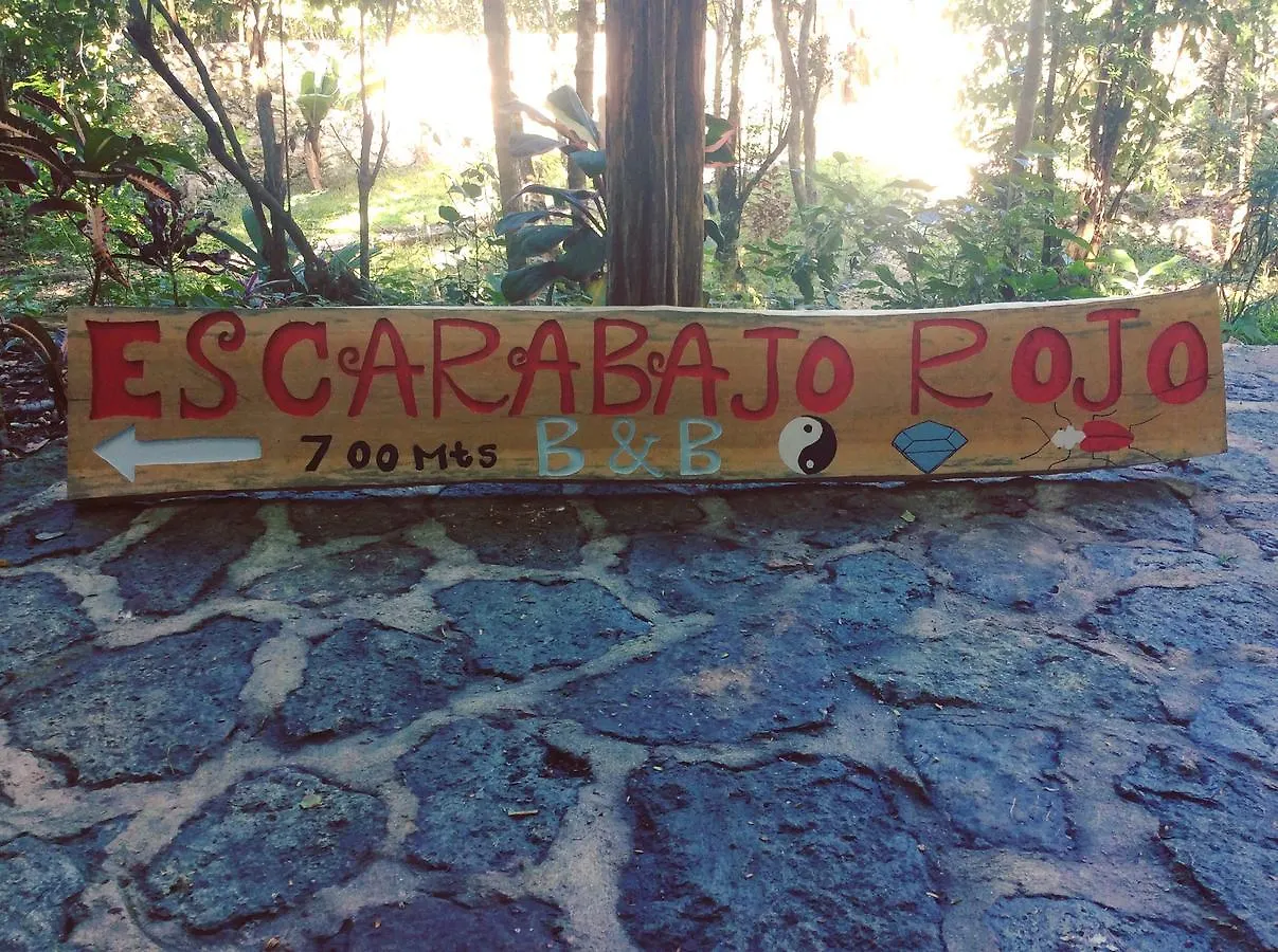Escarabajo Rojo Bed & Breakfast Tulum