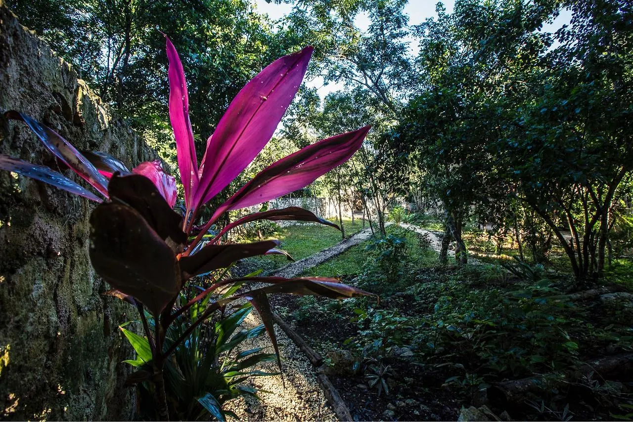 Escarabajo Rojo Bed & Breakfast Tulum