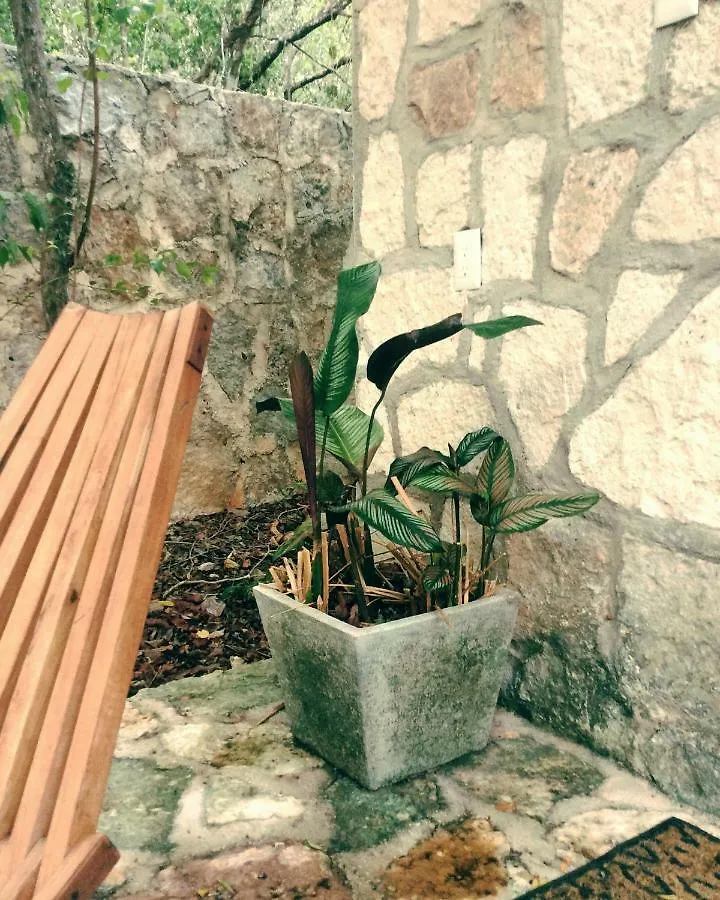 **  Escarabajo Rojo Bed & Breakfast Tulum Mexico